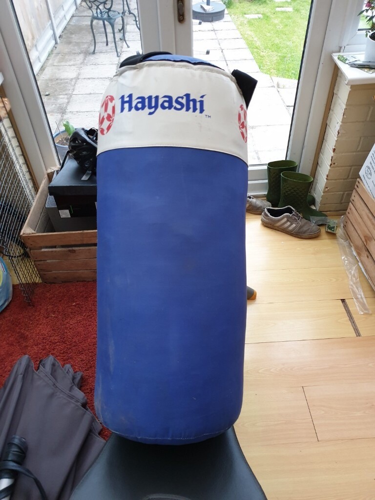 hayashi punch bag